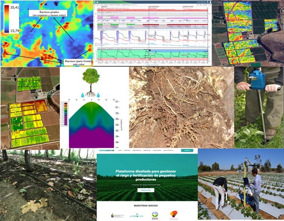 Agricultura Del Futuro: Riego Inteligente Y Productividad Sostenible En ...